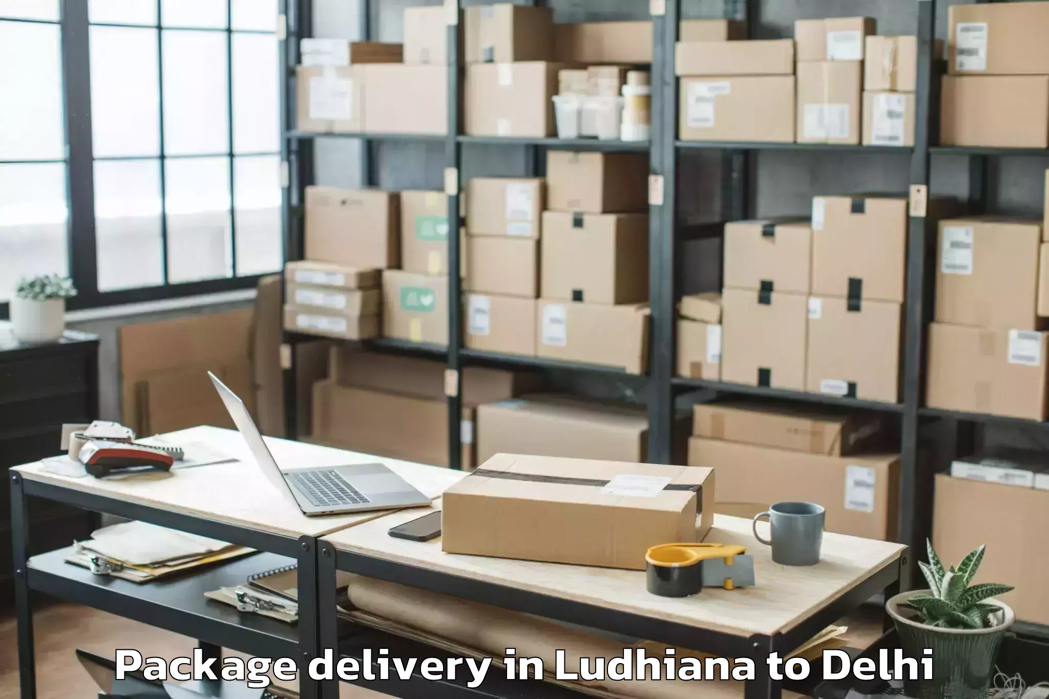 Professional Ludhiana to Aggarwal City Mall Pitampura Package Delivery